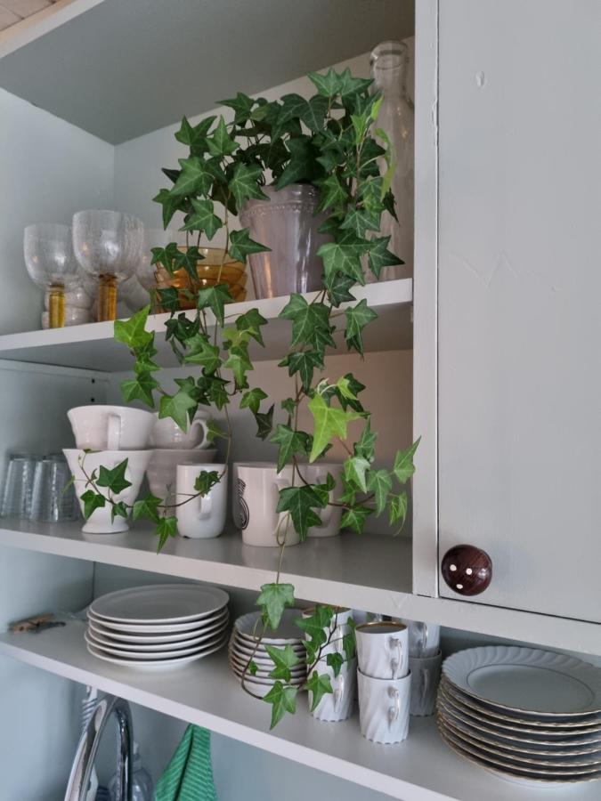 Loftsleilighet Midt I Sentrum Skjervoy Zewnętrze zdjęcie